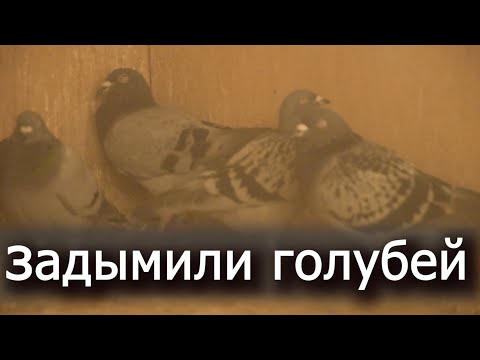 Видео: ЛЕЧЕБНЫЙ ДЫМ.НАШЁЛ И ПРИМЕНИЛ.