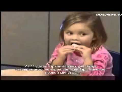 Видео: Знаменитый эксперимент с зефиром !