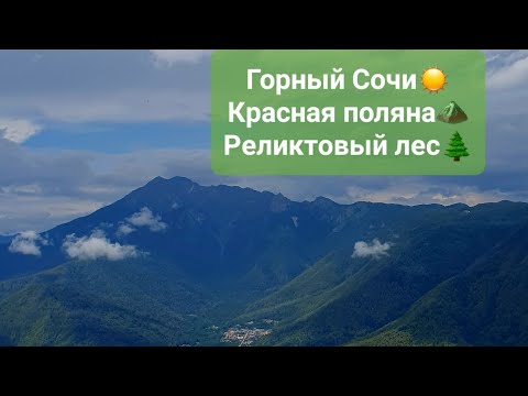 Видео: СОЧИ 2025 ☀️ КРАСНАЯ ПОЛЯНА ⛰️ РЕЛИКТОВЫЙ ЛЕС 🌲