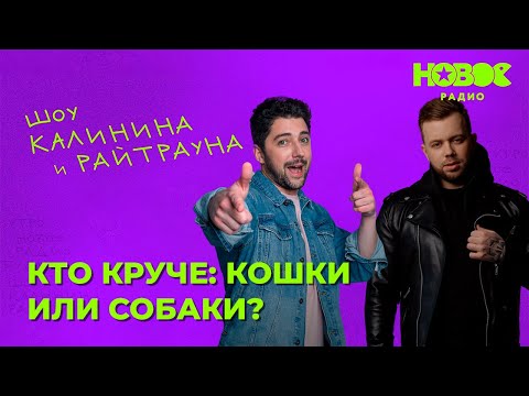Видео: Утреннее шоу «1+1» — Райтраун и Калинин на Новом Радио: «Кошки или собаки? — Кто круче?»