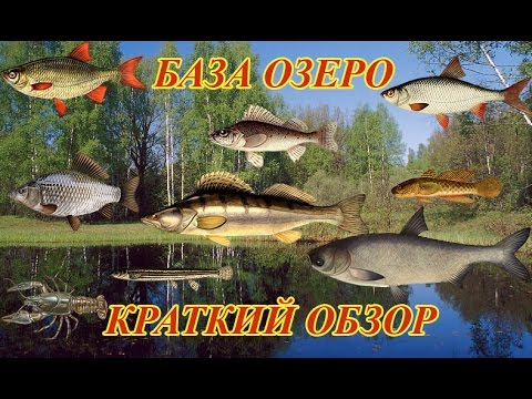 Видео: РУССКАЯ РЫБАЛКА 3: ОЗЕРО. КРАТКИЙ ОБЗОР