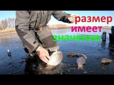 Видео: КРУПНЫЕ КАРАСИ С ПОД ПЕРВОГО ЛЬДА! ловля карася на боковой кивок рыбалка на карася зимняя рыбалка.