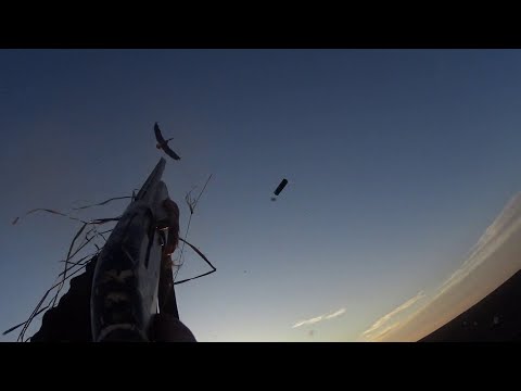 Видео: Охота на гуся 2025. Открытие. 21 марта 2025г