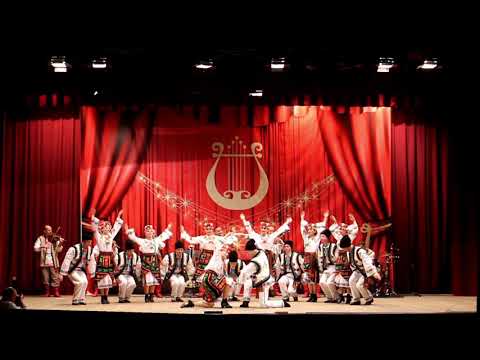 Видео: Академічний ансамбль "Сіверські клейноди" // Буковинський танець