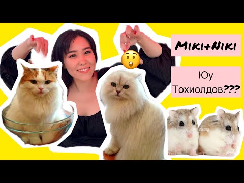 Видео: 🐱Бөөн2 Мууртай Coffee Shop ба Мики Ники 2 🥹