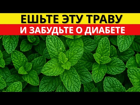 Видео: Это распространённое растение снижает скачки сахара на 93% всего за несколько дней | д-р Алексей