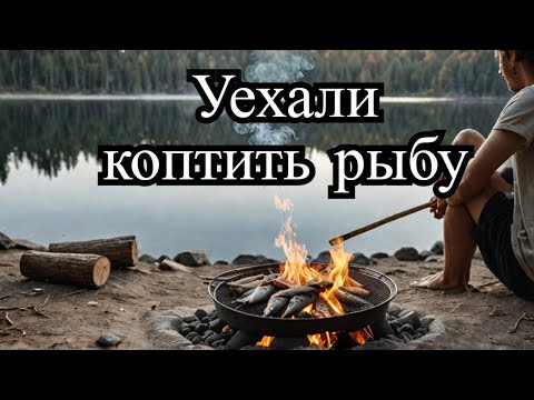 Видео: Все бросили и уехали коптить рыбу! Монтаж бака серой воды из канистры!