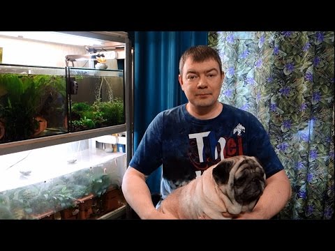 Видео: Какой фильтрующий материал лучше? Крупнопористый или мелкопористый? AQUAбеседы #2