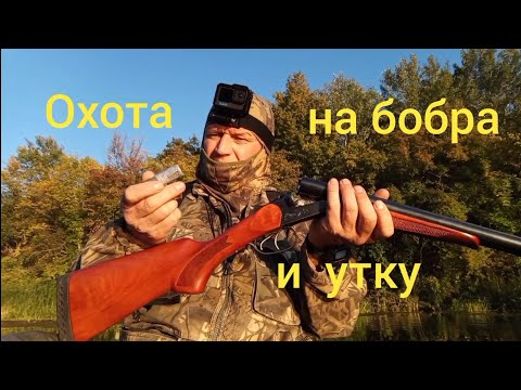 Видео: охота на бобра и утку #ружьё  мр 43#