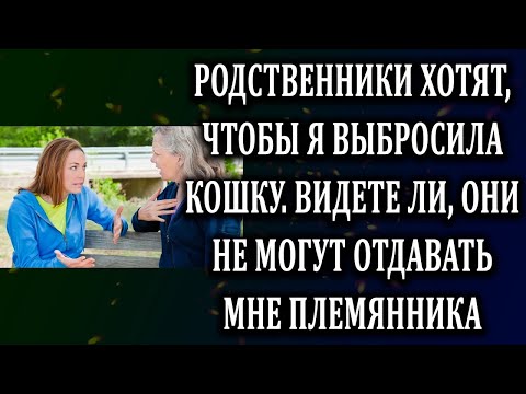 Видео: Истории из жизни Родственники хотят, чтобы я выбросила кошку Жизненные истории  Аудио рассказы