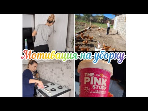 Видео: Мотивация на уборку/убераем в курятник/распаковка с TEMU#moldova #vlog