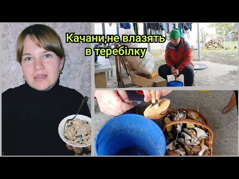 Видео: Коли техніка безсила — працюють руки!Салат із чорносливом 