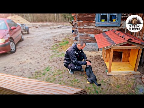 Видео: Хуторские заботы. Будка для собаки готова. Поработали и остались ночевать в лесу на хуторе