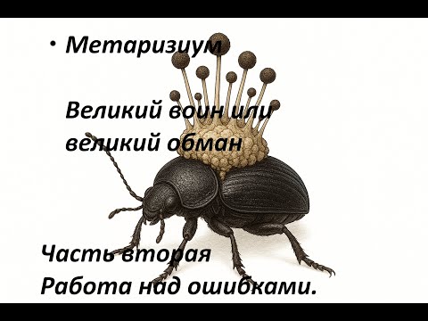 Видео: Метаризиум. Великий воин или великий обман. Часть вторая - работа над ошибками.