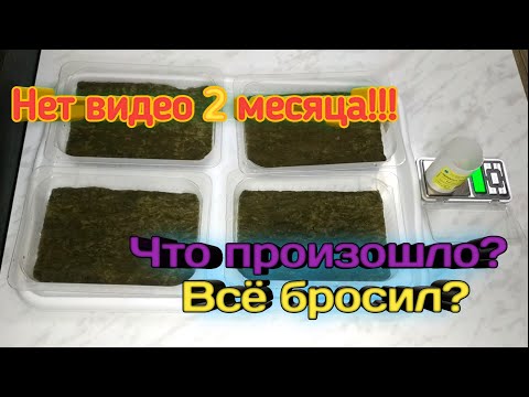 Видео: Новости ситифермы!!! Куда пропал?