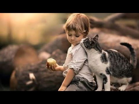 Видео: Небольшой инцидент на работе 