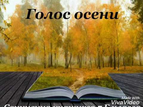 Видео: 7б осень