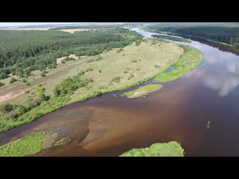 Видео: Река Неман между деревнями Яселевичи и Шавдини в 2016 году Гродненская область,. Беларусь.