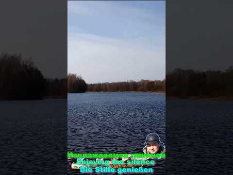 Видео: Наслаждаемся тишиной и шумом весеннего ветра. YouTube Shorts.