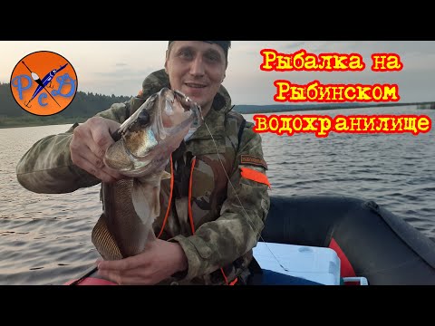 Видео: Успешная рыбалка на Рыбинском водохранилище. Троллинг на Рыбинке. Рыбалка на хищника. Череповец. РСД