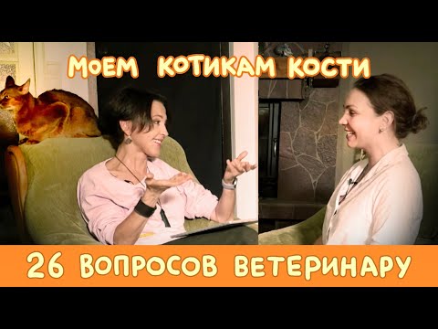 Видео: 26 вопросов ветеринару про кошачье здоровье // Даша Федотова у Тимоновой и Пушкина