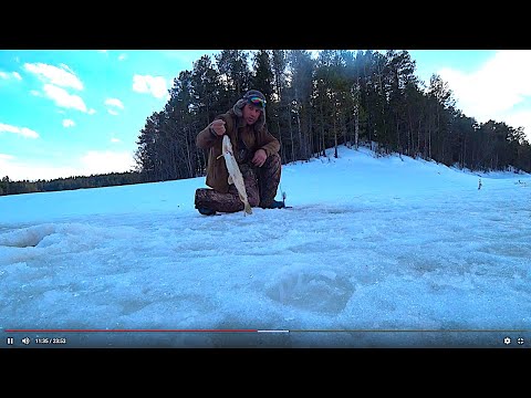 Видео: РЫБАЛКА В СИБИРИ В ХМАО НА ЩУК