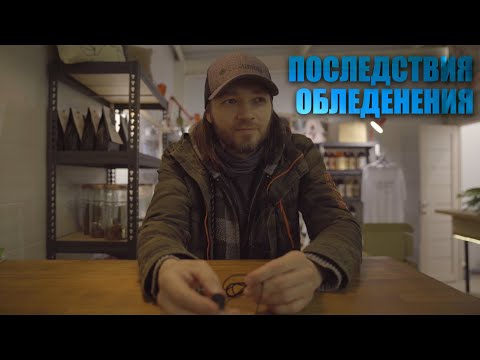 Видео: Последствия ОБЛЕДЕНЕНИЯ Ростовская область