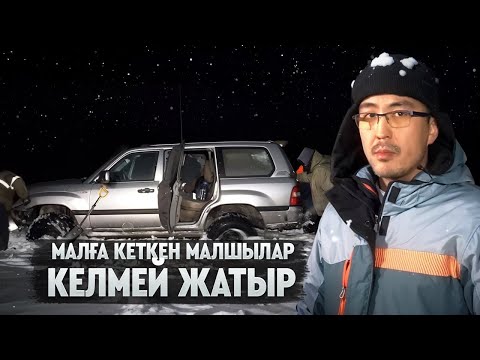 Видео: ДАЛАДА ҚАЛҒАН МАЛШЫНЫ ҚҰТҚАРУ ӨТЕ ҚИЫН БОЛЫП ЖАТЫР. ҚҰТҚАРУШЫЛАРДЫ ШАҚЫРАМЫЗ БА? 1 БӨЛІМ