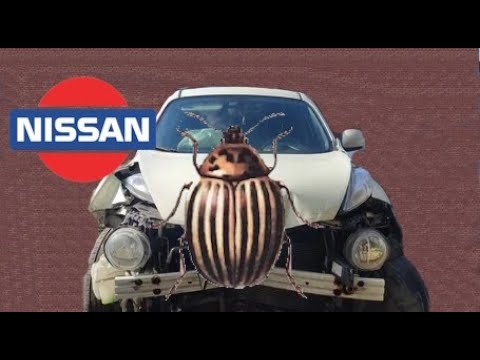 Видео: Ремонт Жука (Жучара).  Body repair after an accident.