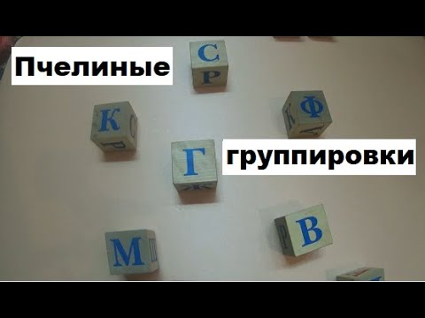 Видео: Пчелиные группировки - основа  пчеловодства.
