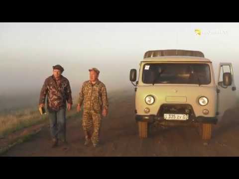 Видео: Коргалжынский заповедник
