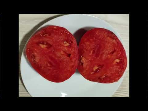 Видео: Каталог томатов 2025 года.  Часть 12.  г.  Киров