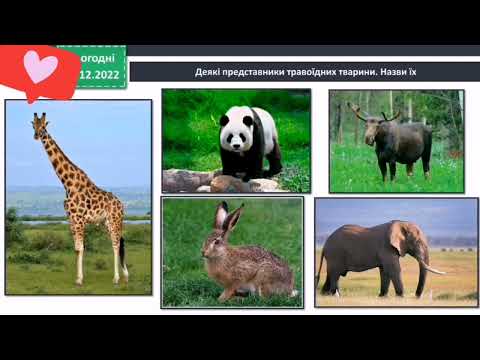 Видео: Тварини 3 клас Я досліджую світ 1 частина Бібік