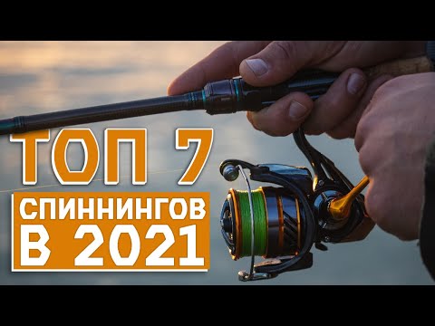 Видео: ТОП 7 - ЛУЧШИХ НЕДОРОГИХ СПИННИНГОВ 2021 🚩 от 1500 до 7000 РУБ