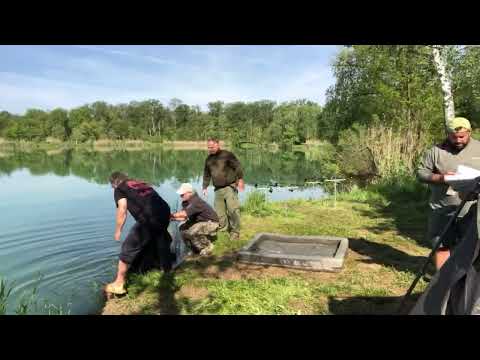 Видео: Ночь крупных карпов, прямой эфир - ШУМБАР