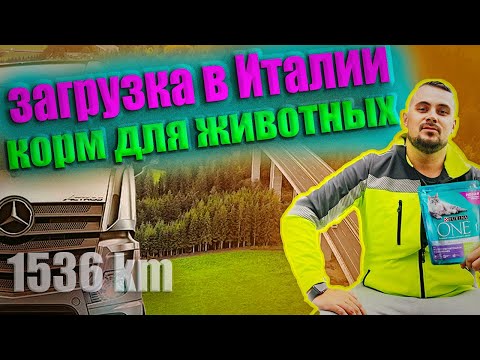 Видео: #40 Загрузка в Италии! Charter.