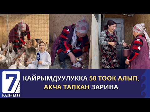 Видео: ТООК БАГЫП, КИРЕШЕ ТАПКАН ҮЙ БҮЛӨ