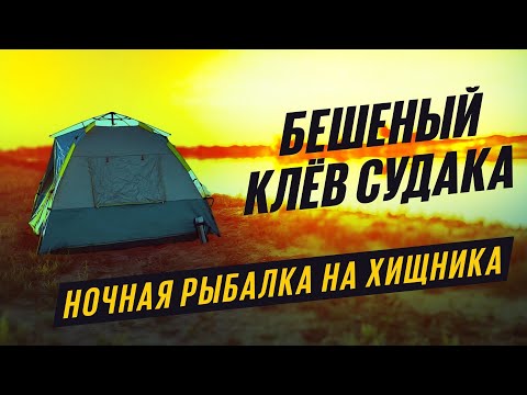 Видео: БЕШЕНЫЙ КЛЕВ СУДАКА НОЧНАЯ РЫБАЛКА НА ХИЩНИКА
