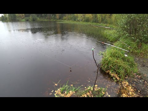 Видео: ГОЛОДНЫЕ ЩУКИ ГЛОТАЛИ НАШИХ ЖИВЦОВ! РЫБАЛКА НА ДЕДОВСКИЕ РЕЗИНКИ И УДОЧКИ! ОСЕННИЙ ЖОР ЩУКИ!