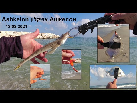 Видео: 18/08/2021 אשקלון Ashkelon Ашкелон דיג рыбалка fishing