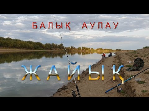 Видео: балық аулау Жайықта!Бакланий.Ақтау-Атырау!