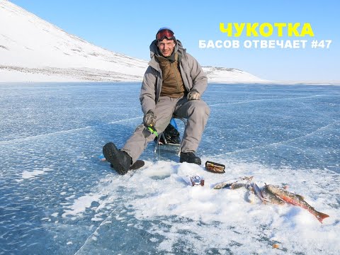 Видео: Чукотка. Басов отвечает #47