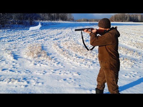 Видео: Охота на Зайцев и Тетерева!!! Ночёвка у Таёжной реки в Избе.