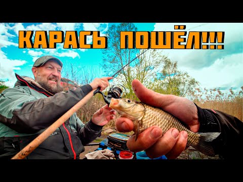 Видео: ЧТО ЛЮБИТ КАРАСЬ? ЛУЧШАЯ ПРИКОРМКА И НАСАДКА ВЕСНОЙ! ЕМУ ЭТО НРАВИТСЯ!