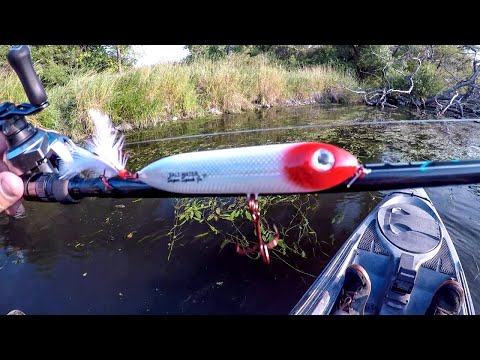 Видео: УДАРНЫЙ поверхностный окунь!