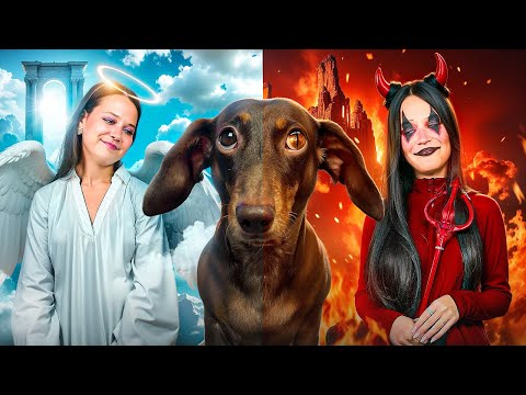 Видео: АНГЕЛ И ДЕМОН УПРАВЛЯЮТ АРИАНОЙ😇👿