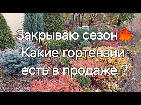 Видео: Что с участком?Что в продаже?