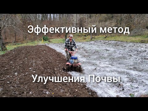 Видео: Как улучшить почву и сделать её плодородной. Рассказываем секреты.