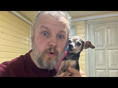 Видео: Что поразило гостей в Хвостатом Счастье?!