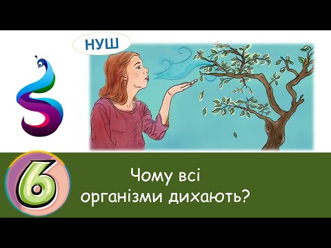 Видео: Чому всі організми дихають